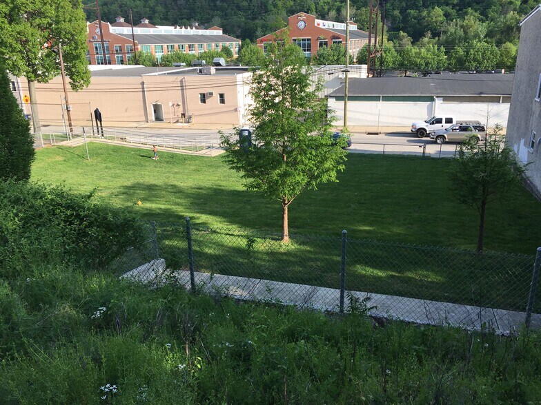 Park view from back porch - 227 E Hector St