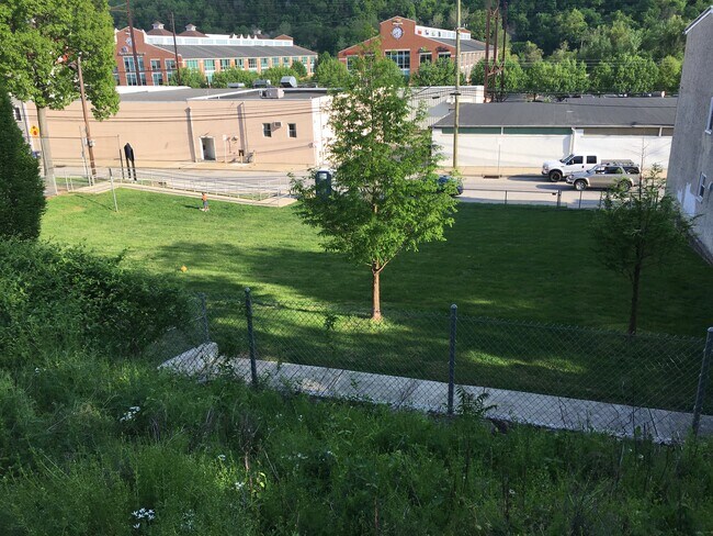 Park view from back porch - 227 E Hector St