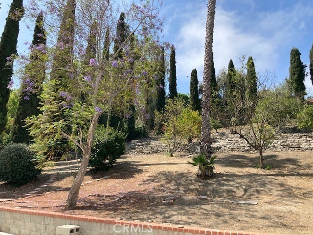 Building Photo - 25042 Armagosa Dr