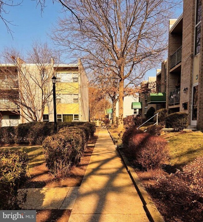 Building Photo - 2 Canterbury Square