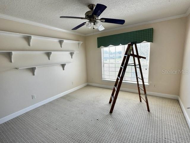 Building Photo - 3905 Dumfries Ct