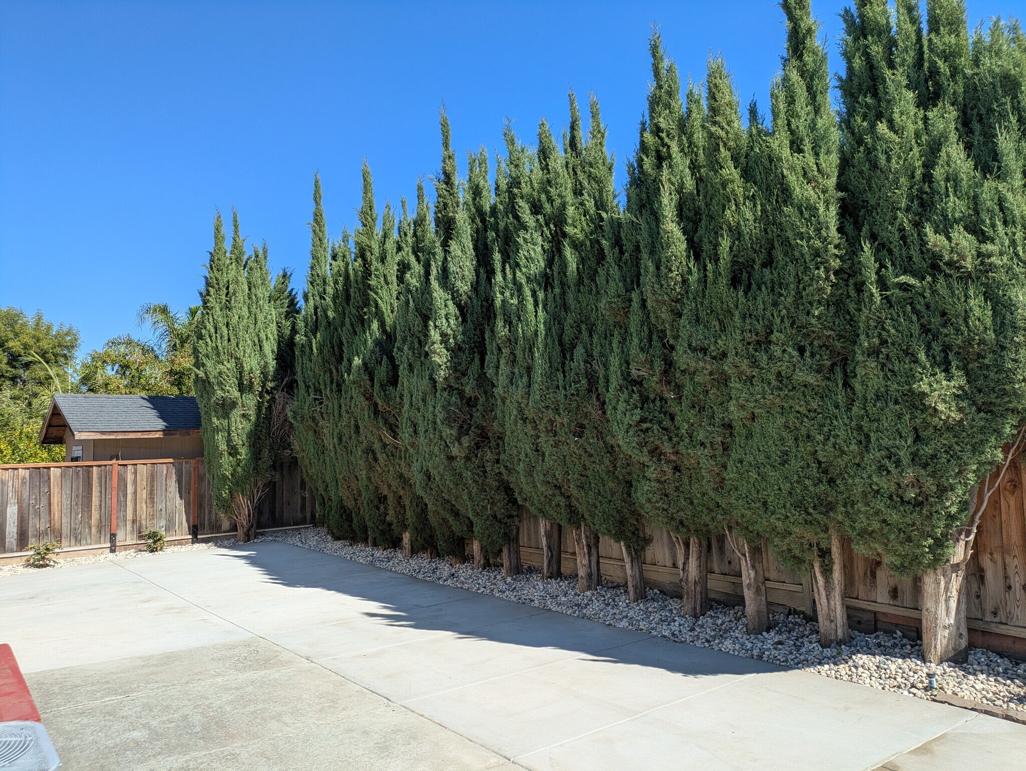 Building Photo - 4160 Arpeggio Ave