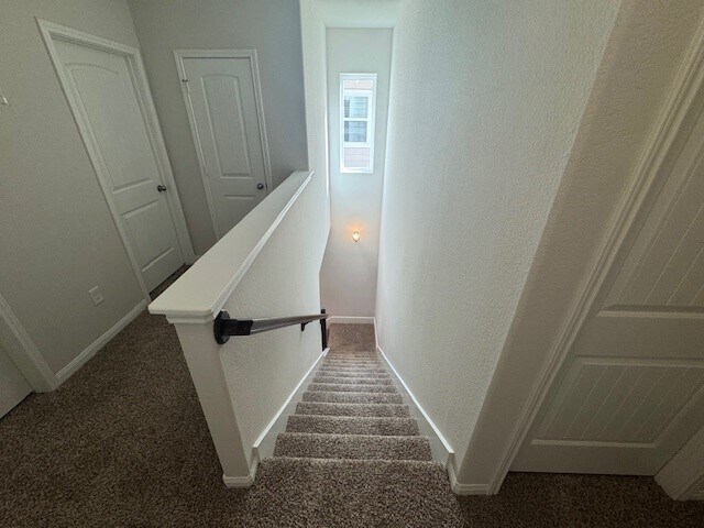 Building Photo - 3906 Deledda Dr