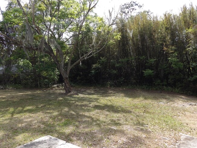 Building Photo - Orange City 3 Bedrooms 2 Bath 900 SQ FT Call Carole Arcaro 386-216-4900