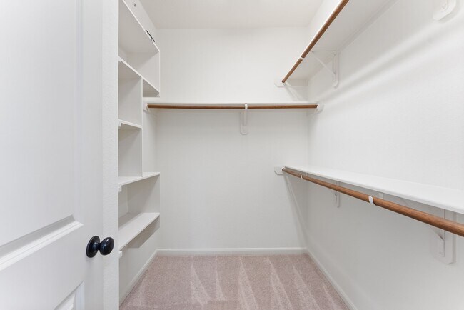 Building Photo - 186 Cheswood Forest Dr
