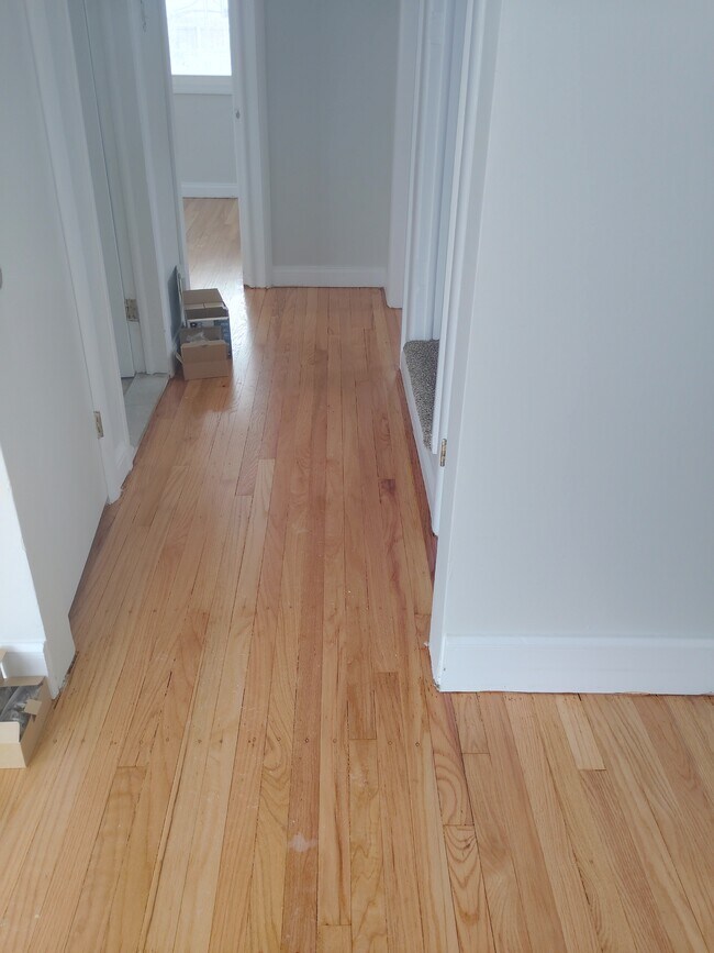 Building Photo - 523 Lincoln Ave