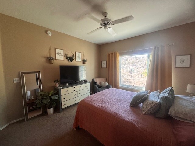 Primary Photo - 3236 E Chandler Blvd
