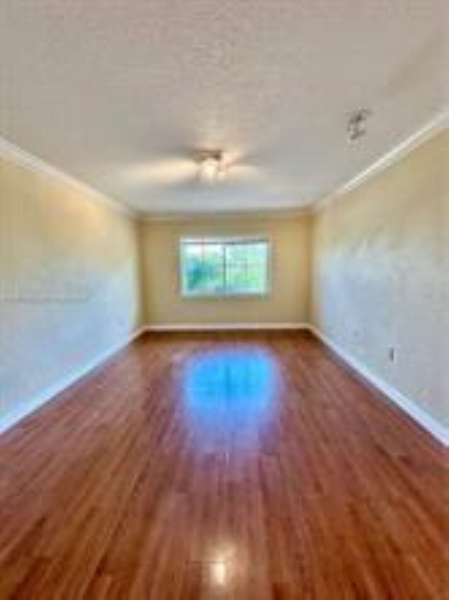 Building Photo - 151 NE 16th Ave