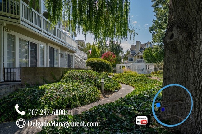 Building Photo - Newly renovated Benicia Marina condo