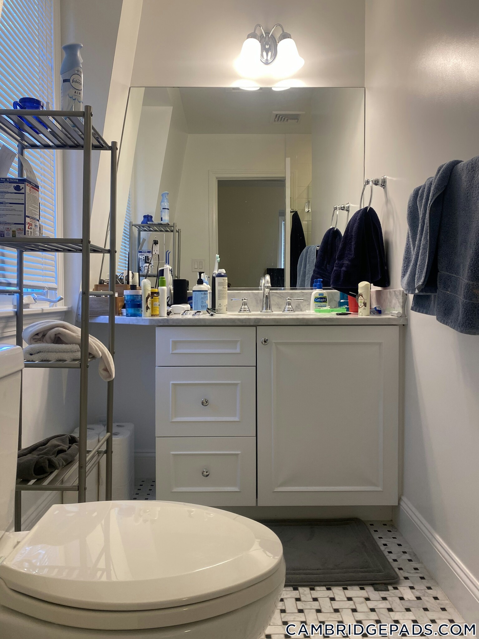 Building Photo - 15 Langdon St