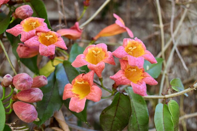 Building Photo - 566 Newberry St SW