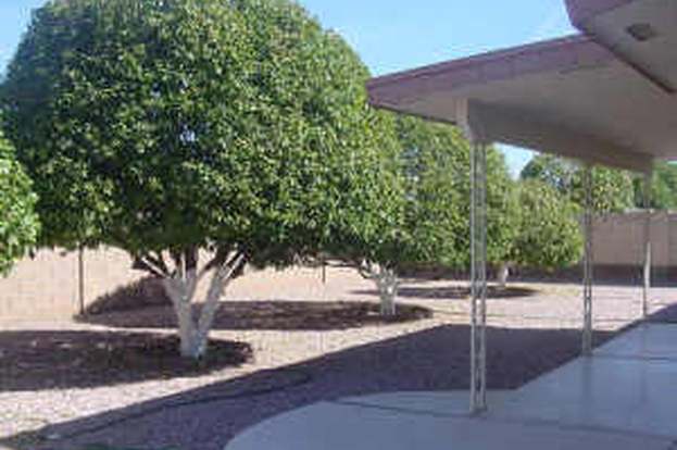Building Photo - 4630 E Elena Ave
