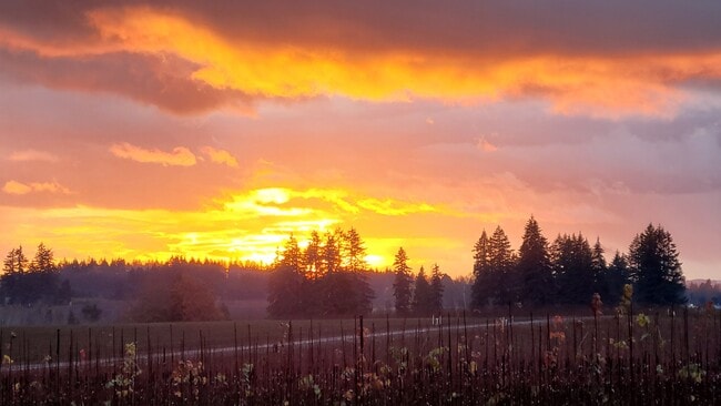 Building Photo - 12771 SE 352nd Ave