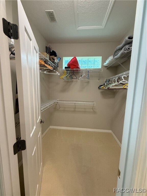 Building Photo - 12 Sweet Peas Ct