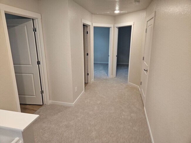 Building Photo - Stunning Brand New Home Close To Lowry & DIA