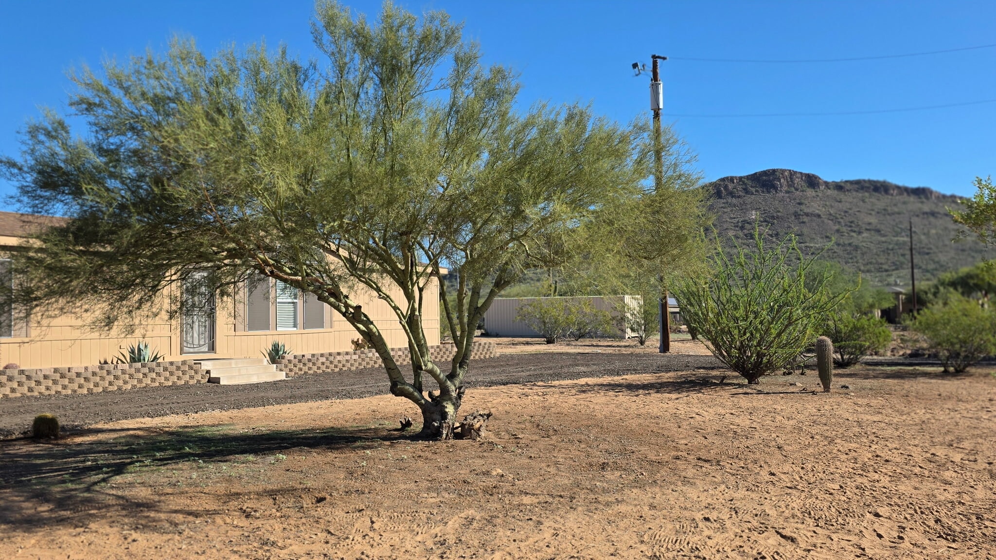 Building Photo - 118 W Leann Ln