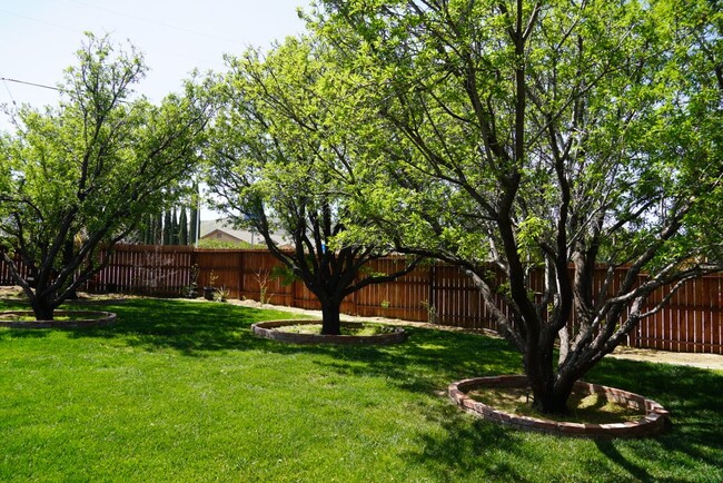 Primary Photo - 4851 W Ave M12