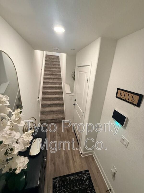 Building Photo - 2052 Vela Ln