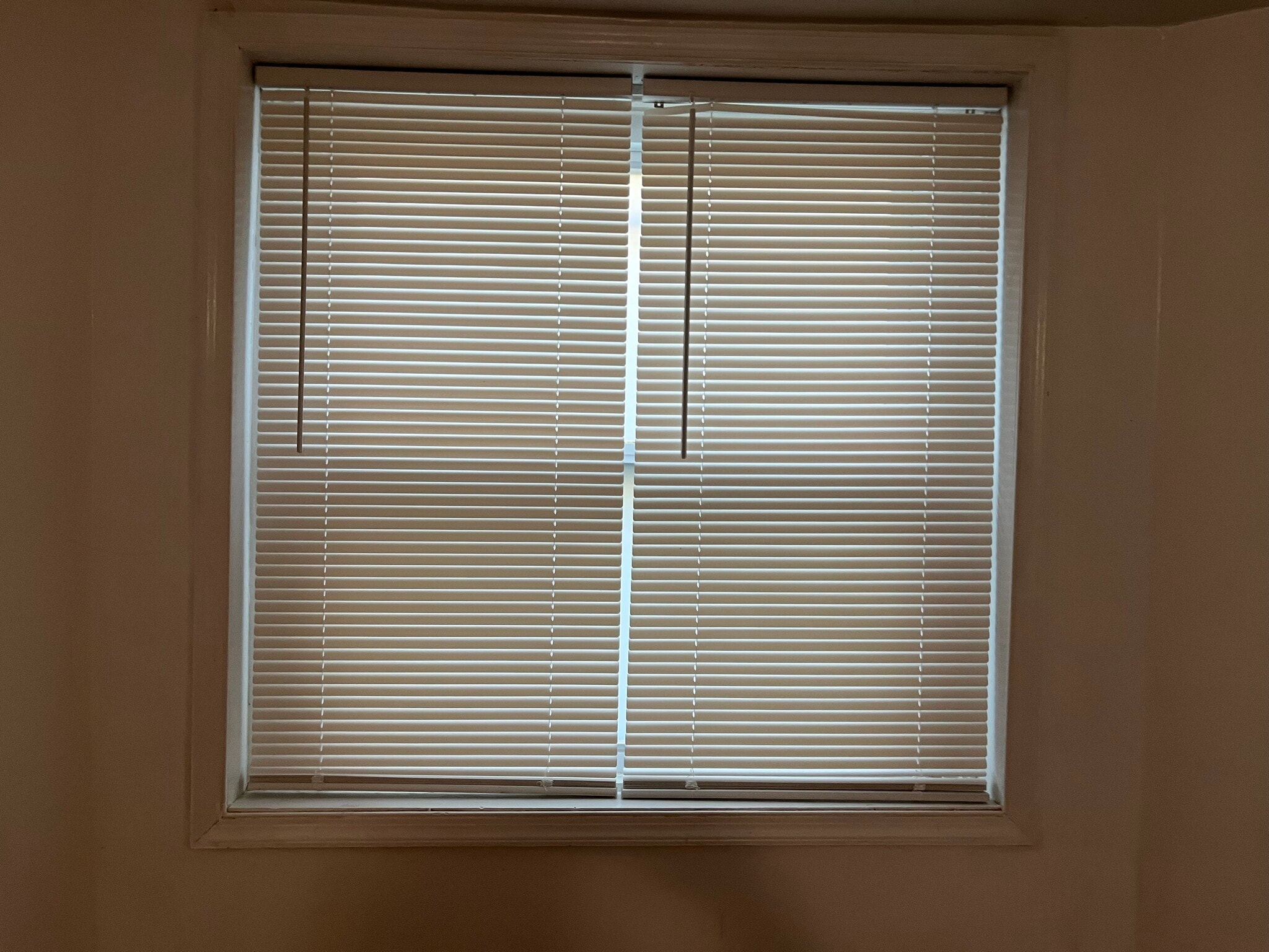Window with Blinds - 1006 F St NE