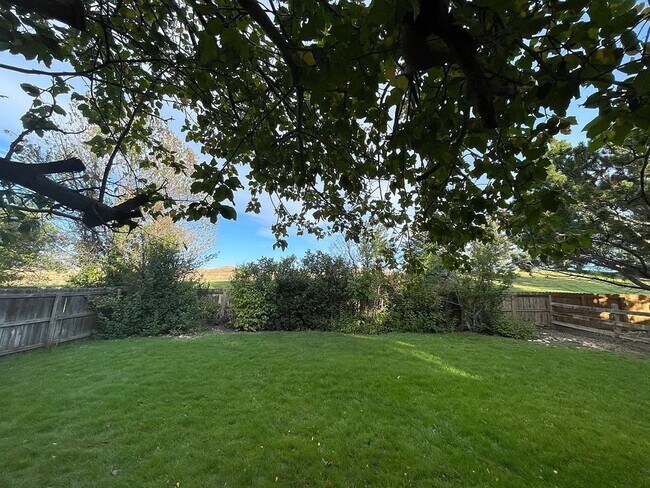 Building Photo - Beautiful 3-Bedroom Home in Rock Creek