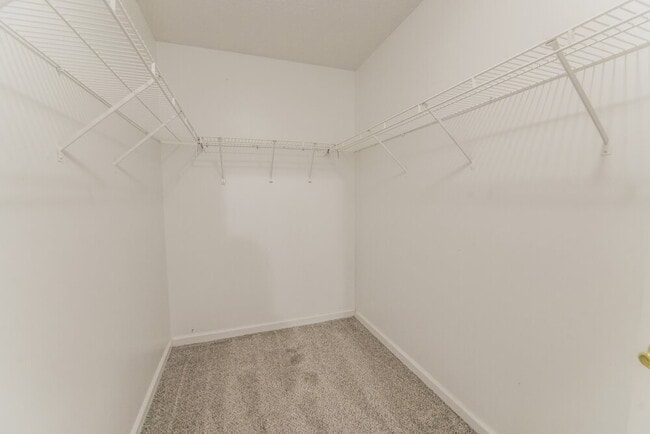 Building Photo - 1464 Cain Ct
