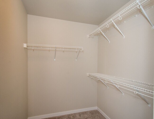 Building Photo - 4 Bed 3 Bath Single Family Home