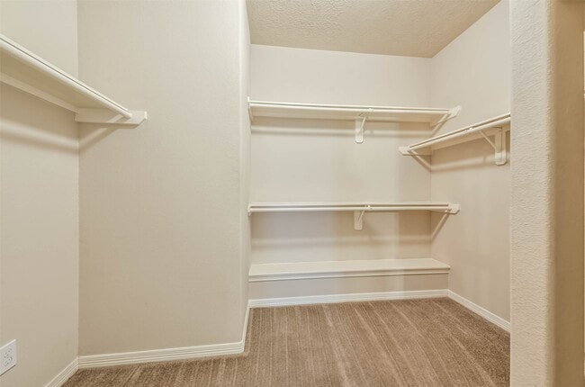 Building Photo - 7114 Freesia Ct