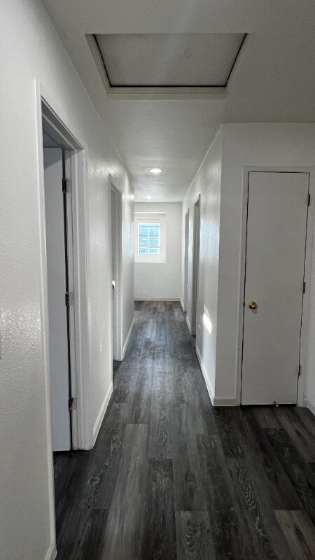 Building Photo - 3112 Puffin Cir