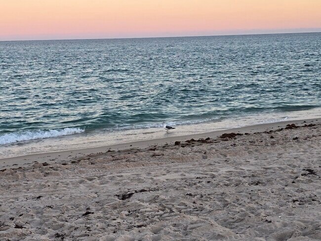 Building Photo - 60 Venetian Dr