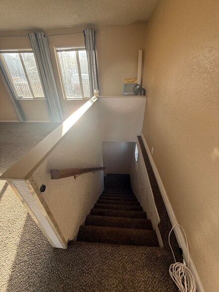 Downstairs - 42 Alcott St