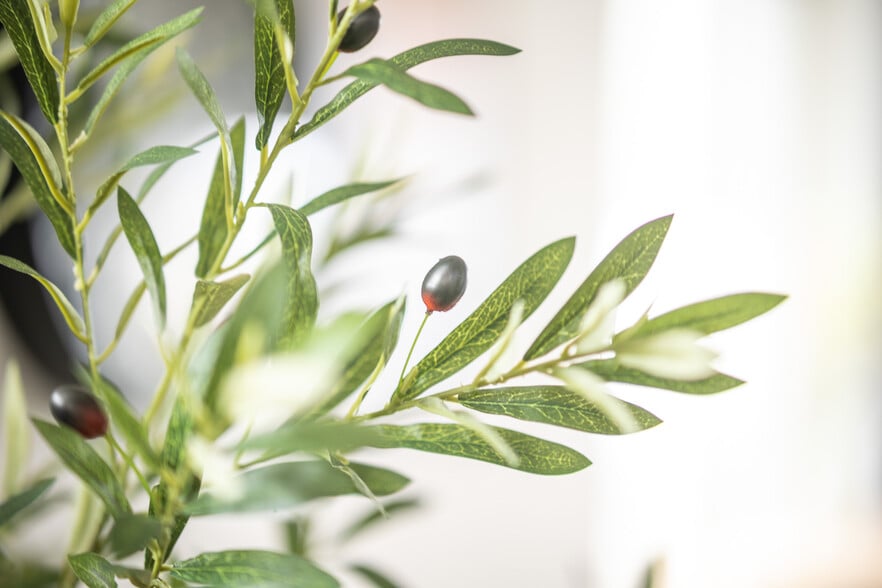 Building Photo - 4431 Fillmore St