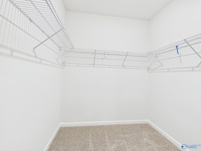 Building Photo - 237 Murphy Ln