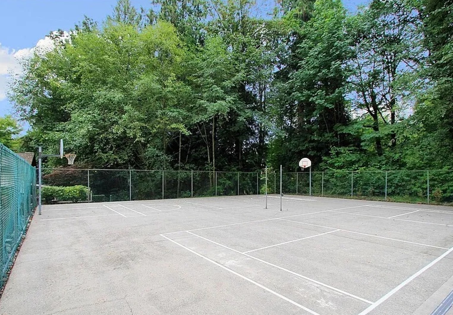 Basketball Court - 15805 Waynita Way NE