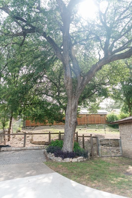 Building Photo - 3101 Matador Dr