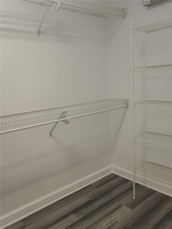 Building Photo - 3045 Lazlo Ln