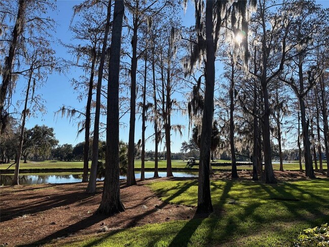 Building Photo - 36750 US Hwy 19 N