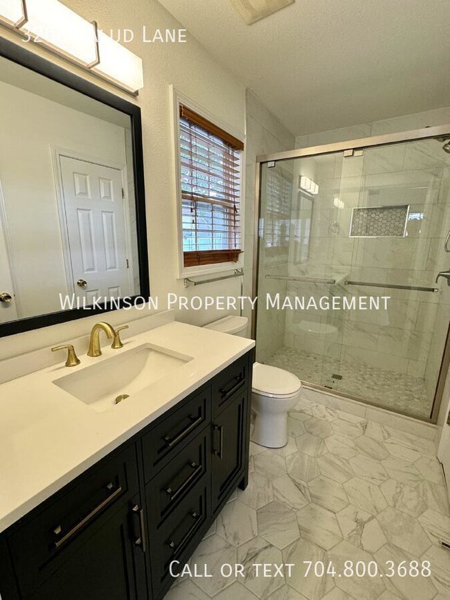 Building Photo - 3206 Salud Ln