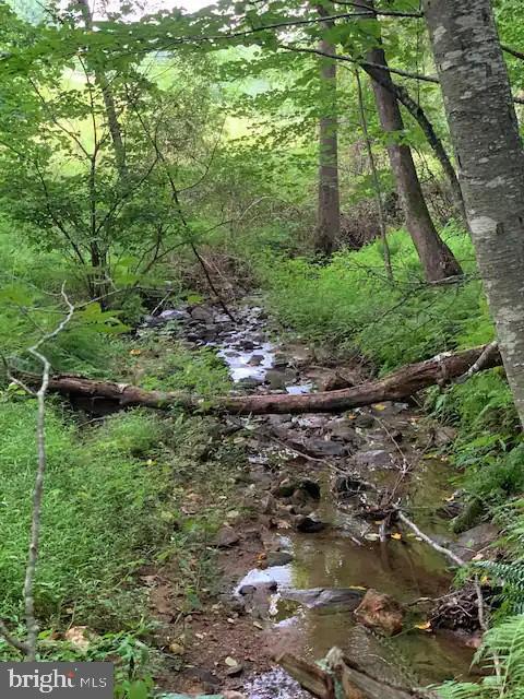 Building Photo - 777 Scrabble Rd