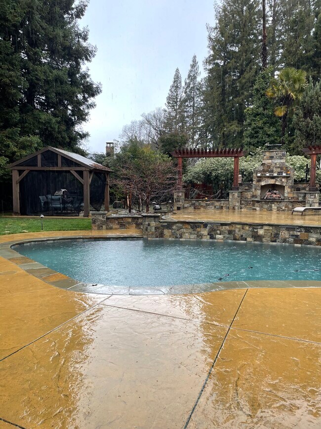 Building Photo - 125 Timberline Ct