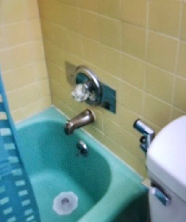 Shower/Bathtub - 4850 Southwest 41st Avenue