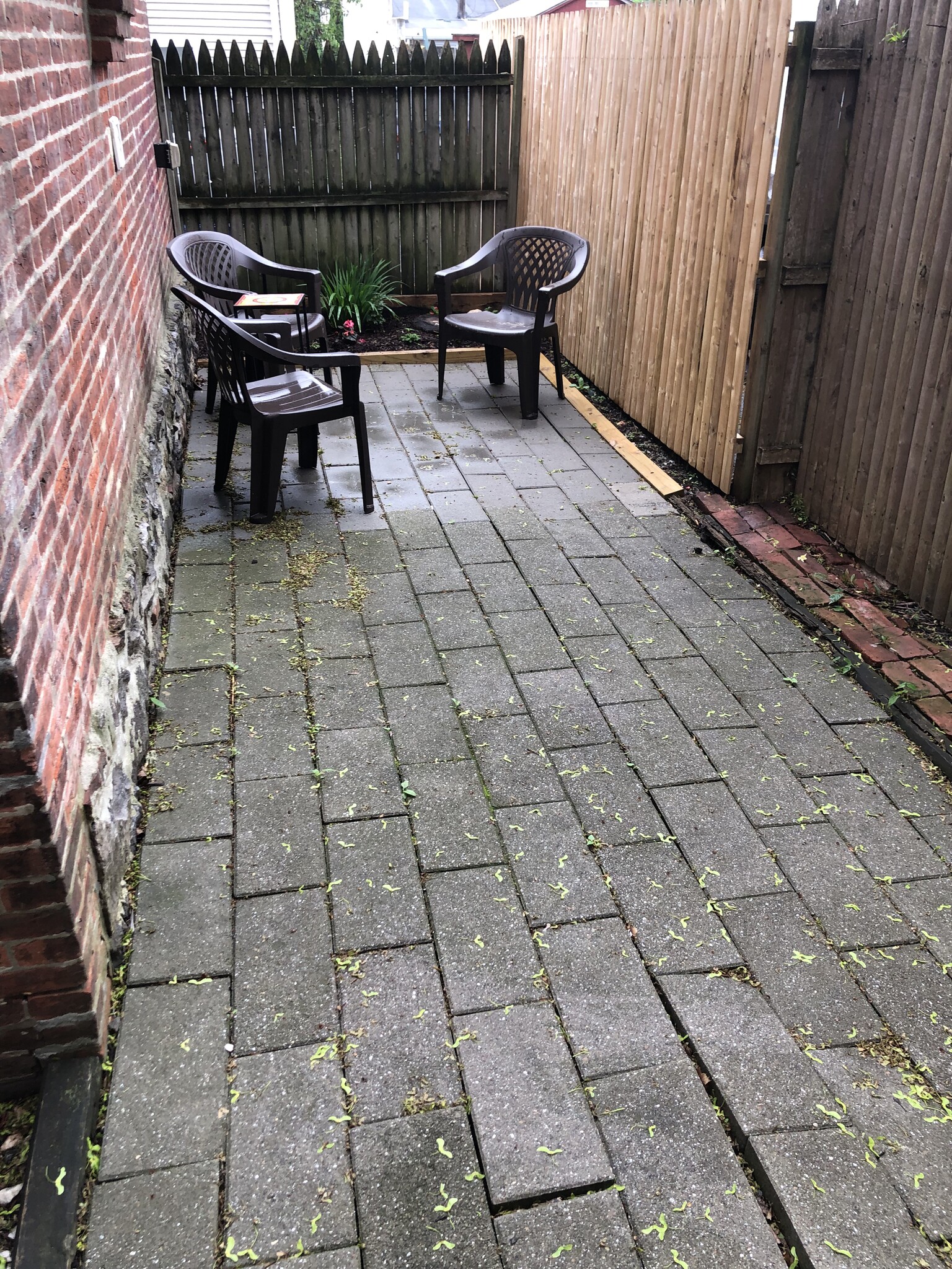 Outdoor space. - 113 S Adams St