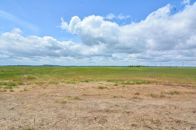 Building Photo - Dog-Friendly Winter Rental on Plum Island