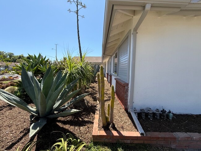Building Photo - 6204 Avenida Ganso