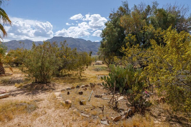 Building Photo - Home in Desert Springs