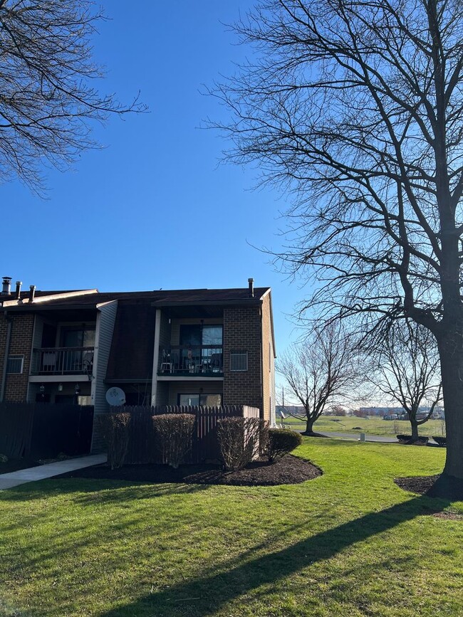 Building Photo - Luxury 1 BD, 1 BA Apartment in Mt Joy!