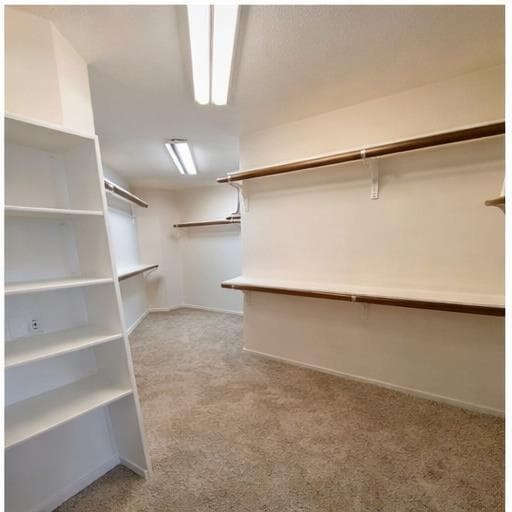 Building Photo - 1718 Bow Ridge Dr