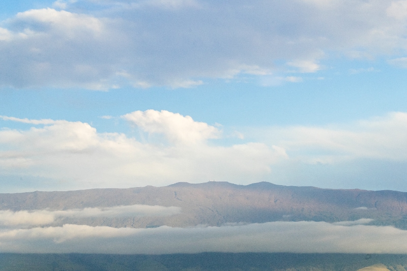 Building Photo - 295 Liholiho St