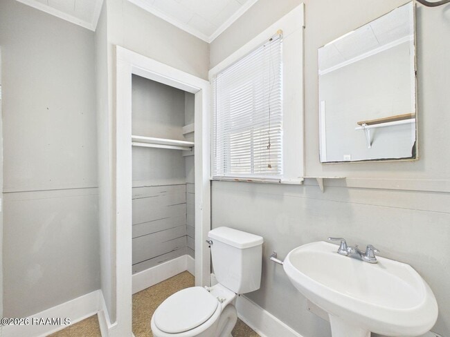 Building Photo - 419 Cleveland St