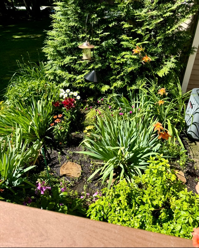 Building Photo - 275 Donohue Rd