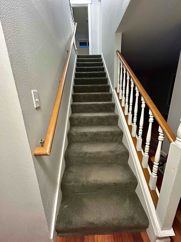 Building Photo - 1008 Olsen Pl